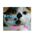 小梅ちゃん スピリチュアル1（個別スタンプ：19）