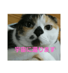 小梅ちゃん スピリチュアル1（個別スタンプ：20）
