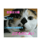 小梅ちゃん スピリチュアル1（個別スタンプ：21）