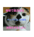 小梅ちゃん スピリチュアル1（個別スタンプ：22）