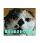 小梅ちゃん スピリチュアル1（個別スタンプ：23）