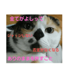 小梅ちゃん スピリチュアル1（個別スタンプ：24）