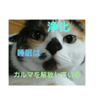 小梅ちゃん スピリチュアル1（個別スタンプ：25）