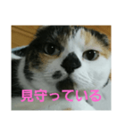 小梅ちゃん スピリチュアル1（個別スタンプ：26）