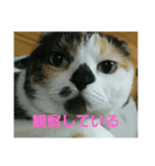 小梅ちゃん スピリチュアル1（個別スタンプ：27）