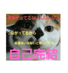 小梅ちゃん スピリチュアル1（個別スタンプ：28）
