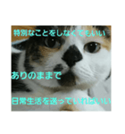 小梅ちゃん スピリチュアル1（個別スタンプ：29）