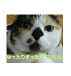小梅ちゃん スピリチュアル1（個別スタンプ：30）