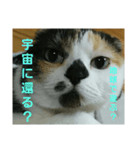 小梅ちゃん スピリチュアル1（個別スタンプ：32）