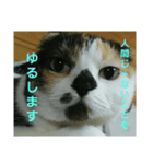 小梅ちゃん スピリチュアル1（個別スタンプ：34）