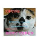 小梅ちゃん スピリチュアル1（個別スタンプ：37）