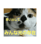 小梅ちゃん スピリチュアル1（個別スタンプ：38）