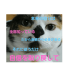 小梅ちゃん スピリチュアル1（個別スタンプ：39）