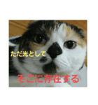 小梅ちゃん スピリチュアル1（個別スタンプ：40）