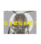 ミツバチと生き物いろいろvol.13.1（個別スタンプ：21）