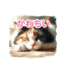 日向ぼっこ猫（個別スタンプ：5）