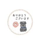 ふわっこ動物⭐︎使いやすい日常会話（個別スタンプ：2）