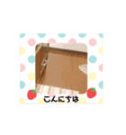 もぐちゃんスタンプ2024（個別スタンプ：4）