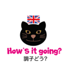 ロンドンキャット 公式LINEスタンプ（個別スタンプ：12）