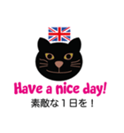 ロンドンキャット 公式LINEスタンプ（個別スタンプ：14）