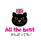 ロンドンキャット 公式LINEスタンプ（個別スタンプ：20）