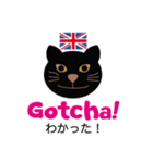 ロンドンキャット 公式LINEスタンプ（個別スタンプ：28）