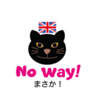 ロンドンキャット 公式LINEスタンプ（個別スタンプ：30）