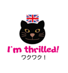 ロンドンキャット 公式LINEスタンプ（個別スタンプ：36）