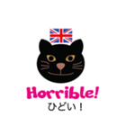 ロンドンキャット 公式LINEスタンプ（個別スタンプ：37）