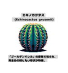 サボテン図鑑LINEスタンプ 第1弾（個別スタンプ：2）