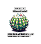 サボテン図鑑LINEスタンプ 第1弾（個別スタンプ：4）