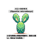 サボテン図鑑LINEスタンプ 第1弾（個別スタンプ：5）