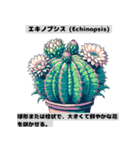 サボテン図鑑LINEスタンプ 第1弾（個別スタンプ：6）