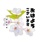 可愛いピンク❤️春桜と素敵な敬語挨拶（個別スタンプ：1）