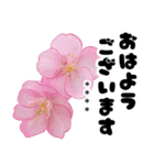 名前が変えられる可愛いピ春桜と敬語挨拶（個別スタンプ：4）