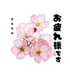 名前が変えられる可愛いピ春桜と敬語挨拶（個別スタンプ：5）