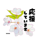 名前が変えられる可愛いピ春桜と敬語挨拶（個別スタンプ：9）