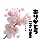 可愛いピンク❤️春桜と素敵な敬語挨拶（個別スタンプ：10）
