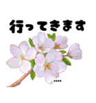 名前が変えられる可愛いピ春桜と敬語挨拶（個別スタンプ：13）