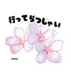 可愛いピンク❤️春桜と素敵な敬語挨拶（個別スタンプ：14）