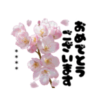 可愛いピンク❤️春桜と素敵な敬語挨拶（個別スタンプ：18）