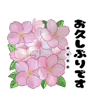 可愛いピンク❤️春桜と素敵な敬語挨拶（個別スタンプ：20）