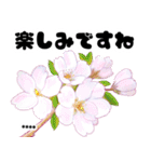 可愛いピンク❤️春桜と素敵な敬語挨拶（個別スタンプ：30）