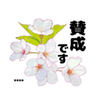 可愛いピンク❤️春桜と素敵な敬語挨拶（個別スタンプ：32）