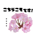 可愛いピンク❤️春桜と素敵な敬語挨拶（個別スタンプ：34）