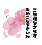 名前が変えられる可愛いピ春桜と敬語挨拶（個別スタンプ：35）