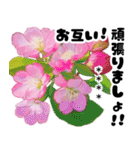 名前が変えられる可愛いピ春桜と敬語挨拶（個別スタンプ：40）