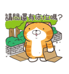 ランラン猫 54 (台湾版)（個別スタンプ：6）