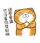 ランラン猫 54 (台湾版)（個別スタンプ：8）