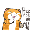 ランラン猫 54 (台湾版)（個別スタンプ：13）